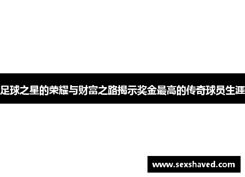 足球之星的荣耀与财富之路揭示奖金最高的传奇球员生涯